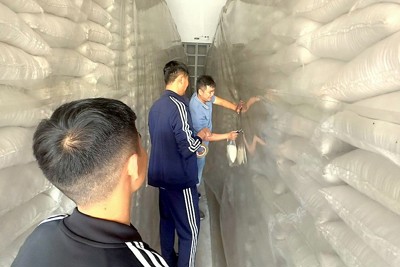 Tổ chức kiểm tra chất lượng gạo nhập kho dự trữ quốc gia 
