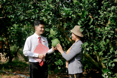 Agribank phối hợp xây dựng cơ chế thúc đẩy tín dụng và bảo hiểm theo chuỗi liên kết Agribank phối hợp xây dựng cơ chế thúc đẩy tín dụng và bảo hiểm theo chuỗi liên kết