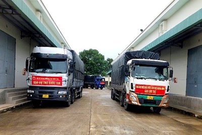 Hoàn thành xuất cấp hơn 1.081 tấn gạo hỗ trợ học sinh tỉnh Quảng Ngãi