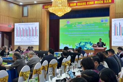 Thúc đẩy chuyển dịch xanh, bao trùm ở Việt Nam