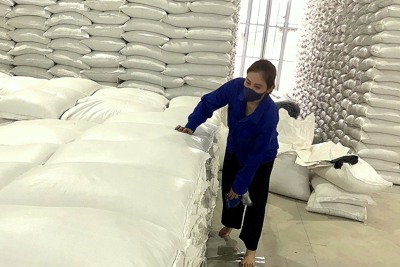 Bảo quản an toàn hàng dự trữ quốc gia, sẵn sàng xuất cấp trong mọi tình huống