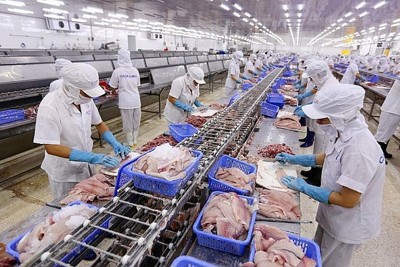 Dư địa lớn cho hàng hóa Việt Nam vào thị trường UAE