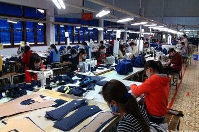 Thái Bình: Hơn 1.000 doanh nghiệp được cấp giấy chứng nhận đăng ký kinh doanh