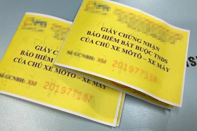 Đảm bảo quyền lợi người mua bảo hiểm xe cơ giới bắt buộc