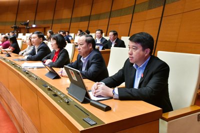 Cân nhắc quy định về can thiệp sớm đối với tổ chức tín dụng
