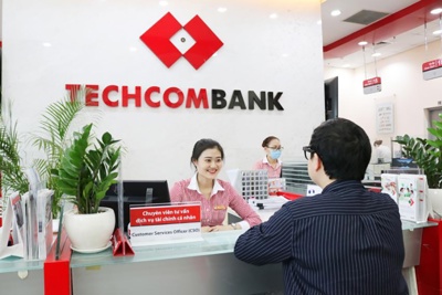 Techcombank dự kiến chia cổ tức bằng tiền mặt ở mức ít nhất 20%