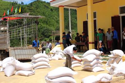 Xuất cấp hơn 431 tấn gạo hỗ trợ nhân dân dịp Tết và giáp hạt