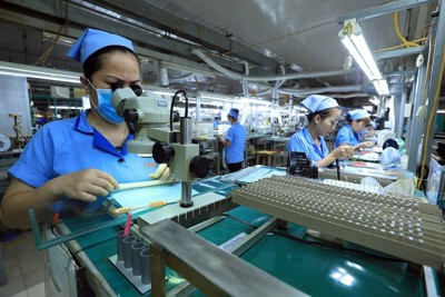 Kinh tế Việt Nam năm 2023 và triển vọng năm 2024