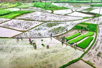Vận hành tối đa các công trình thủy lợi, lấy đủ nước cho 100% diện tích vụ Đông Xuân