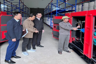 Kiểm tra hàng hóa mùa Xuân gắn với xây dựng kho “An toàn - Xanh - Sạch - Đẹp”