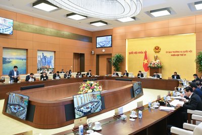Xử lý triệt để tình trạng “bỏ cọc” sau khi trúng đấu giá