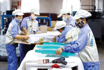 Bức tranh đăng ký kinh doanh 2 tháng đầu năm: Tín hiệu tích cực