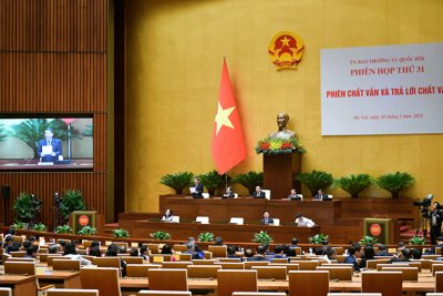 Dự kiến năm 2025 sẽ sửa đổi Luật Thuế thu nhập cá nhân