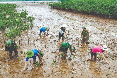 Bước khởi đầu để thúc đẩy nền kinh tế theo hướng tăng trưởng xanh Bước khởi đầu để thúc đẩy nền kinh tế theo hướng tăng trưởng xanh