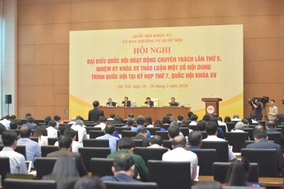 Cân nhắc quy định mở rộng đấu giá biển số xe