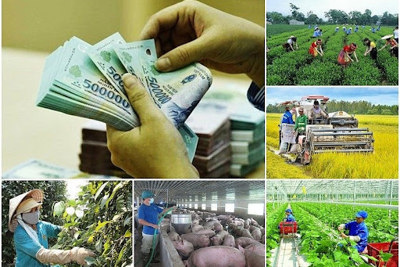 Được điều chuyển dự toán ngân sách giữa các dự án trong chương trình mục tiêu quốc gia 