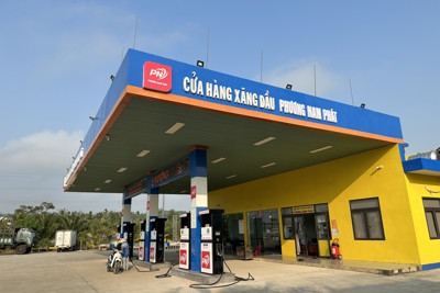 Xử phạt Công ty kinh doanh xăng dầu không có giấy chứng nhận đủ điều kiện bán lẻ