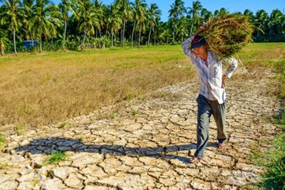 Khô hạn sẽ xảy ra tại nhiều địa phương