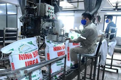 Tìm động lực tăng trưởng mới cho doanh nghiệp