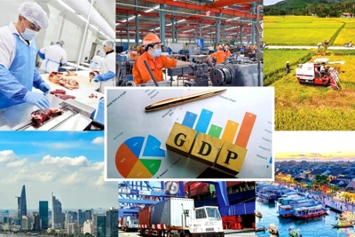 WB: Kinh tế Việt Nam đang hồi phục tăng trưởng