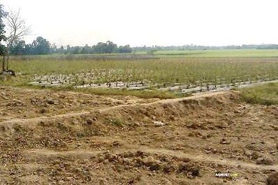 Chấp thuận chuyển 14,80 ha đất trồng lúa để thực hiện dự án Khu dân cư tại Long An