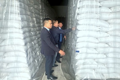 Khẩn trương triển khai mua 9.000 tấn gạo nhập kho dự trữ quốc gia
