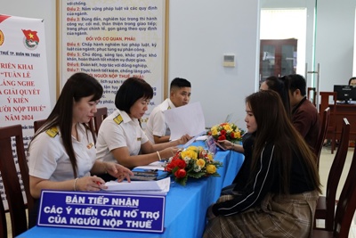 Ngành Thuế đã thu ngân sách đạt 43% dự toán