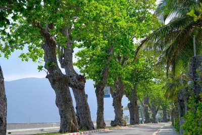 Khách du lịch Côn Đảo có thể nhận quà lên tới 23 triệu đồng