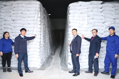 Sẵn sàng nhập, xuất hàng dự trữ quốc gia năm 2024