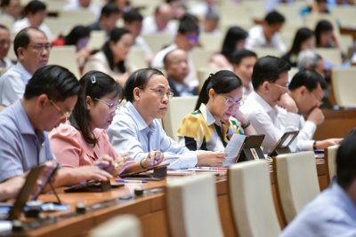 Quy định về đấu giá tài sản cần thống nhất, khả thi trong thực tế