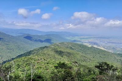 Hoàn thiện Đề án phát triển thị trường các-bon Hoàn thiện Đề án phát triển thị trường các-bon
