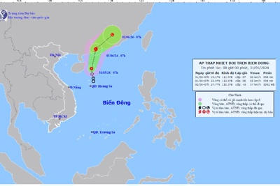 Biển Đông xuất hiện áp thấp, khả năng mạnh lên thành bão