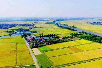 Chuyển mục đích sử dụng hơn 35 ha đất để thực hiện Dự án Cụm công nghiệp 