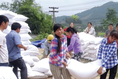 Xuất cấp hơn 1 nghìn tấn gạo cho 5 địa phương dịp giáp hạt năm 2024