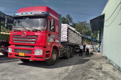 Điểm sáng về nhập, xuất gạo dự trữ quốc gia
