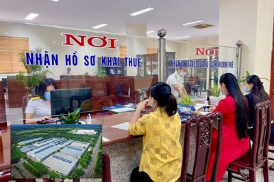 Rà soát toàn bộ các khoản nợ liên quan đến đất, tiền cấp quyền khai thác khoáng sản