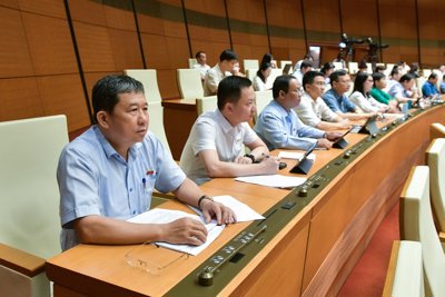 Rà soát, làm rõ tính khả thi của Quỹ bảo tồn di sản văn hoá 