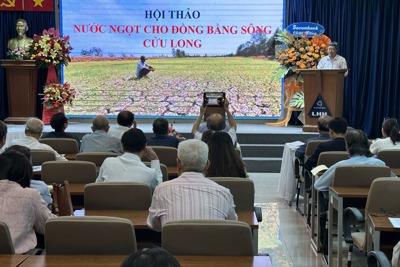 Giữ nước ngọt cho Đồng bằng sông Cửu Long bằng đập ngăn mặn và xây hồ phân tán