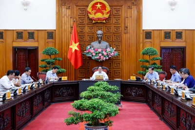 Rà soát, xử lý vướng mắc trong hệ thống văn bản quy phạm pháp luật