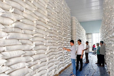 Hoàn thành nhập kho 11.000 tấn gạo dự trữ quốc gia 