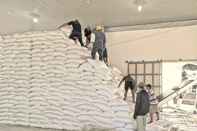 Về đích sớm mua 11.500 tấn gạo nhập kho dự trữ quốc gia 
