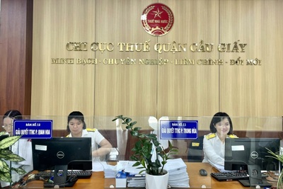 6 tháng, Cục Thuế Hà Nội thu ngân sách đạt hơn 245 nghìn tỷ đồng