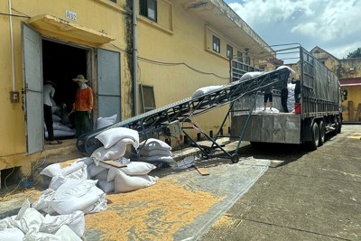 Hoàn thành 100% kế hoạch xuất bán thóc dự trữ quốc gia 