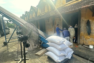 Giữ nghiêm kỷ luật, kỷ cương của Đảng qua kiểm tra, giám sát