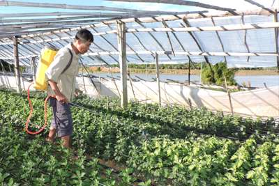 Hoàn thiện thể chế, phát huy bongdaso danh sách các trận đấu năng và nguồn lực, thích ứng hiệu quả với biến đổi khí hậu - Tạp chí Tài chính Hoàn thiện thể chế, phát huy tiềm năng và nguồn lực, thích ứng hiệu quả với biến đổi khí hậu