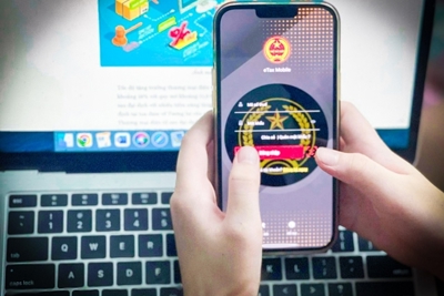 Tối đa hóa nguồn thu ngân sách nhà nước nhờ hiện đại hóa quản lý thuế