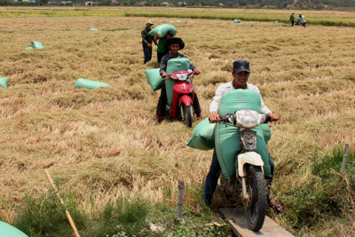 Huy động đa dạng nguồn lực để giảm nghèo bền vững Huy động đa dạng nguồn lực để giảm nghèo bền vững
