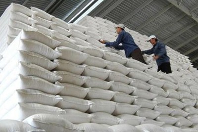 Chi cục Dự trữ Nhà nước khu vực XV hoàn thành 30% kế hoạch mua lương thực