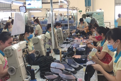 Việt Nam cần sớm nâng cao “bộ kỹ năng” mới cho lực lượng lao động Việt Nam cần sớm nâng cao “bộ kỹ năng” mới cho lực lượng lao động