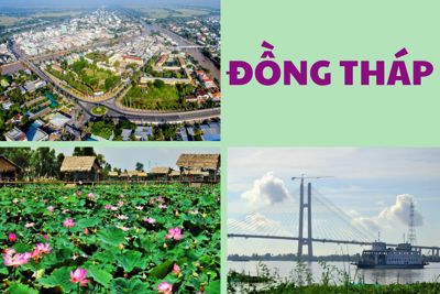 Đồng Tháp thu thập thông tin hơn 4.000 doanh nghiệp trên địa bàn Đồng Tháp thu thập thông tin hơn 4.000 doanh nghiệp trên địa bàn